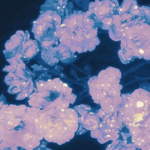 少妇性饥渴videos海角社区
